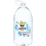 Água Lindoya Verão 5L