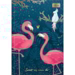 Caderno Brochura Universitário Ahola Capa Dura Tilibra 80 Folhas