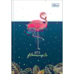 Caderno Brochura Universitário Ahola Capa Dura Tilibra 80 Folhas