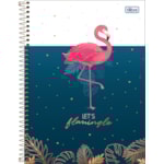 Caderno Capa Dura Universitário 16 Matéria Aloha Tilibra 256 Folhas