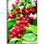 Caderno DNA Espiral 1/4 48Fl