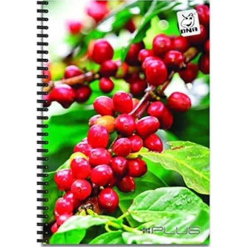 Caderno DNA Espiral 1/4 48Fl