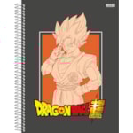 Caderno São Domingos Universitário Dragon Ball 80Fl