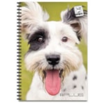 Caderno Universitário Plug DNA 10 Matérias 200 Folhas