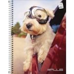 Caderno Universitário Plug DNA 16 Matérias 320 Folhas