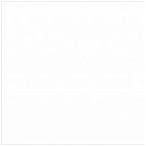 EVA Biatex Liso Branco 40x60cm 10 Unidades