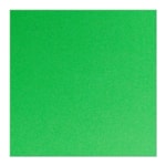 Eva Biatex Liso Cor Verde 40x60cm 10Un