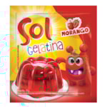 Gelatina Sol Morango 25g