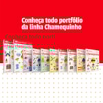 Papel Chamequinho Colorido Com 4 Cores A4 100FL