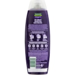 Shampoo Palmolive Naturals Iluminador Pretos 350ml