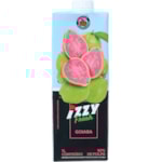 Suco Izzy Sabor Goiaba e Maçã 1L