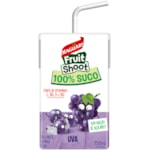 Suco Maguary Fruit Shoot 100% Suco Sabor Uva 150ml